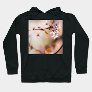 Cherry Blossom Hoodie